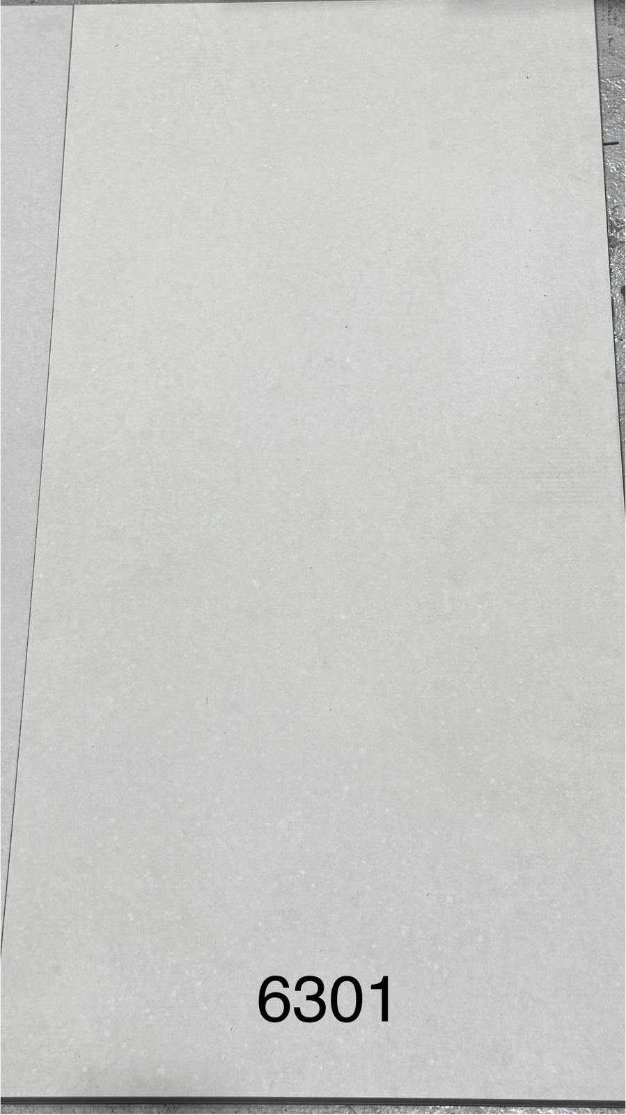 6301 4